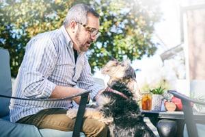 Schnauzer bliver klappet af en mand, der sidder ved et bord udenfor