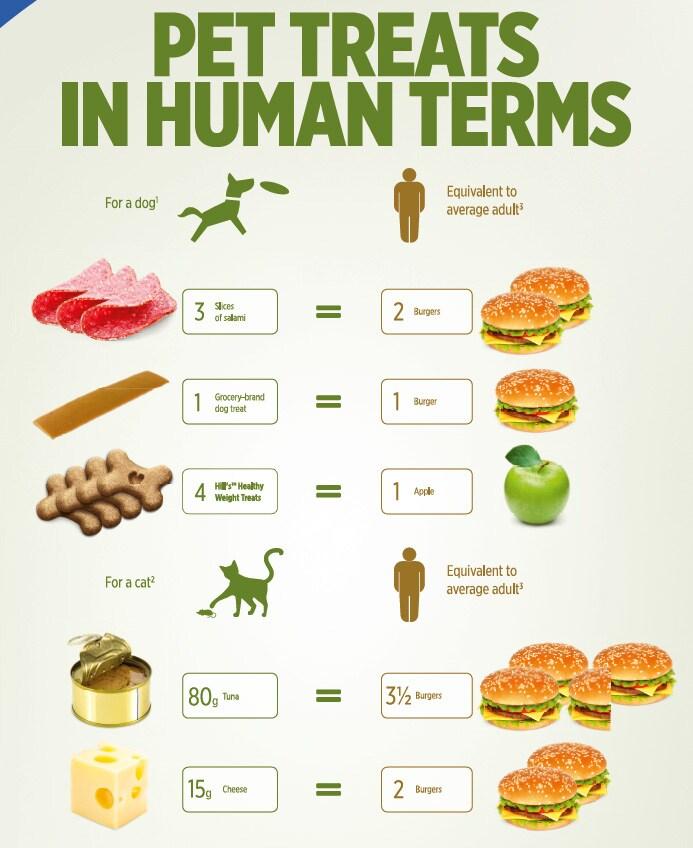 Godbidsomregner Godbidsomregner