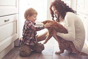 Mother with her baby playing with pet on the floor at the kitchen at home. Mother and son playing with large orange tabby cat on the kitchen floor at home.