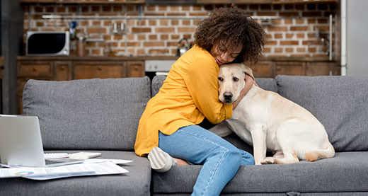 woman-in-yellow-sweater-hugging-yellow-lab-SW Woman in yellow sweater hugging her yellow lab while sitting on a gray couch.