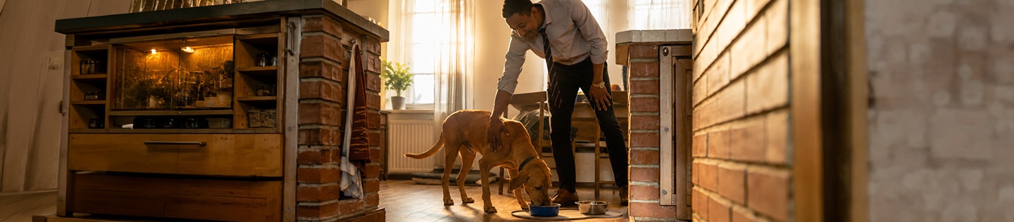 En mand bøjer sig ned for at klappe en stor, lysebrun hund, mens den spiser af sin skål