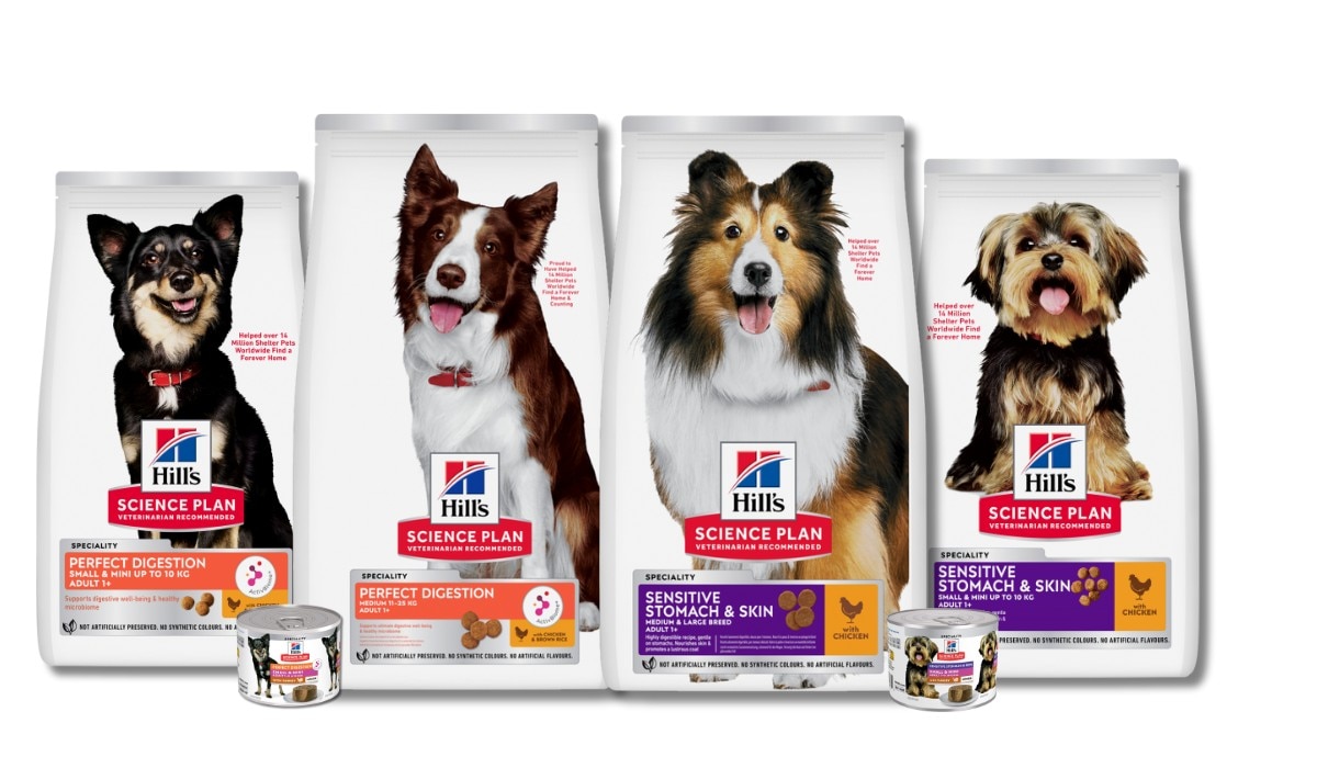 Digestive health dog foods