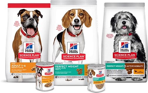 Weight management dog foods