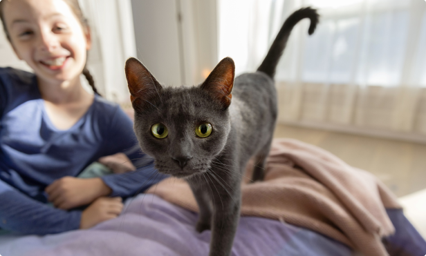 A happy young girl with a black cat beside her
