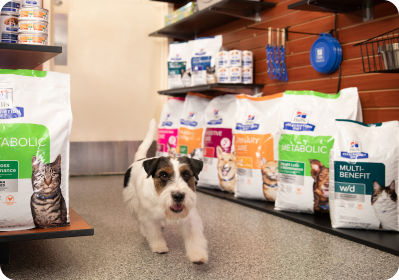 dog running and Hill's products in the background