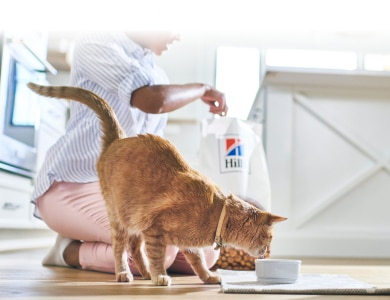 Kat spiser Hills-mad