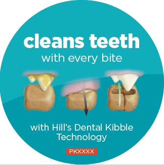 DENTAL FODERPILLE-TEKNOLOGI
