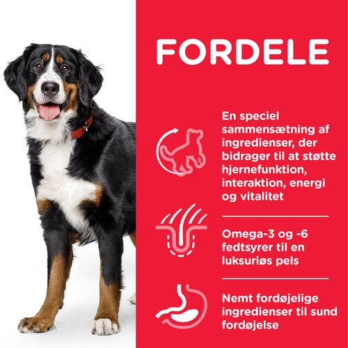 sp-canine-science-plan-adult-5-plus-youthful-vitality-large-breed-with-chicken-and-rice-dry