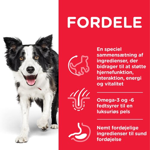 sp-canine-science-plan-adult-7-plus-youthful-vitality-medium-breed-with-chicken-and-rice-dry