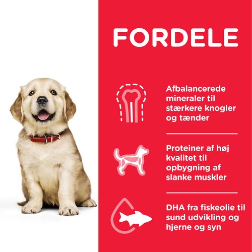 sp-canine-science-plan-puppy-healthy-development-large-breed-chicken-dry