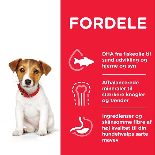 sp-canine-science-plan-puppy-small-and-miniature-chicken-dry