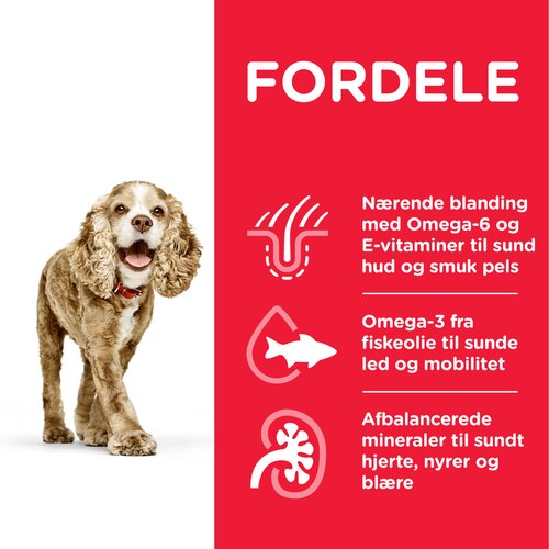 sp-canine-science-plan-senior-11-plus-small-and-miniature-original-dry